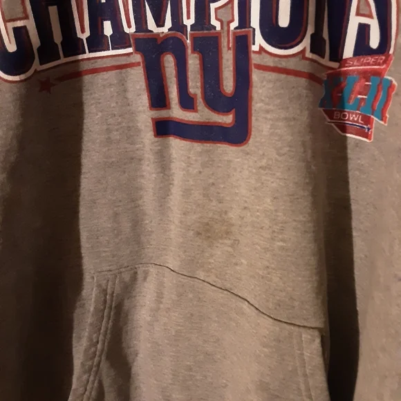 Gray Super Bowl Champions Hoodie - Picture 3 of 5